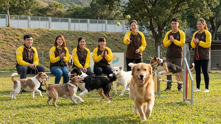 【政策關注】政府擬修訂《防止殘酷對待動物條例》 放生或遺棄動物將屬違法