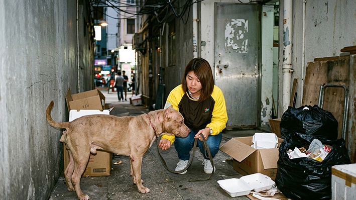 電氣街後巷救獲一歲惡霸犬