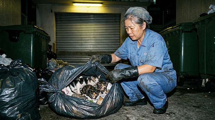 駱克道垃圾站發現五隻被綁膠袋貓B
